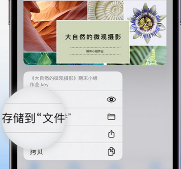 宽城apple维修中心分享iPhone文件应用中存储和找到下载文件