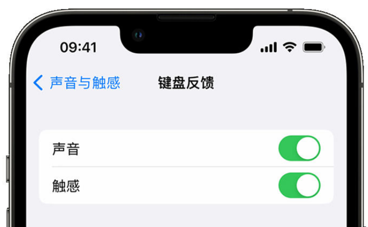 宽城苹果手机维修分享iPhone 14触感键盘使用方法 