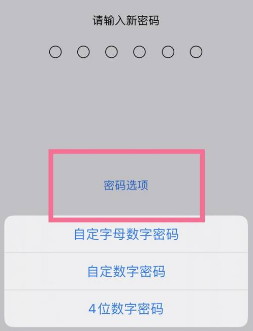 宽城苹果14维修分享iPhone 14plus设置密码的方法 