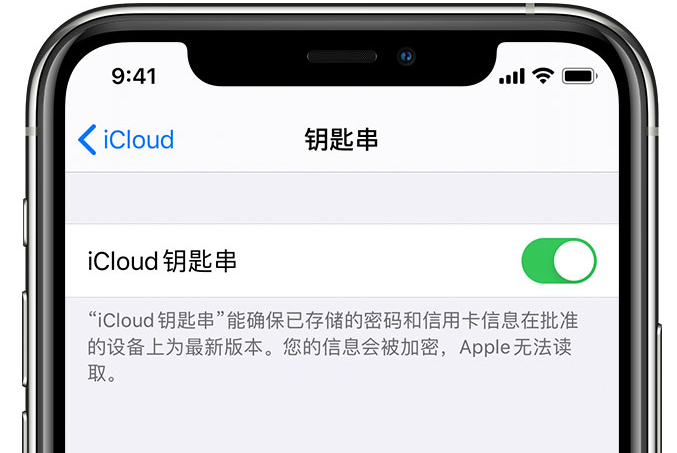 宽城苹果手机维修分享在 iPhone 上开启 iCloud 钥匙串之后会储存哪些信息 