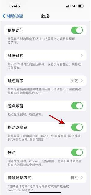 宽城苹果手机维修分享iPhone手机如何设置摇一摇删除文字 